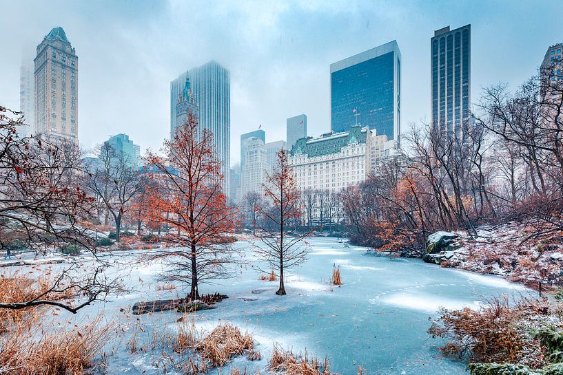 Winter in Central Park, New York City van Sascha Kilmer