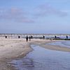 Promenade sur la plage avec un chien au bord de la mer Baltique sur Babetts Bildergalerie
