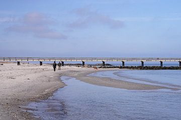 Strandwandeling met hond aan de Oostzee