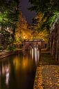 Utrecht herfst 9 van John Ouwens thumbnail