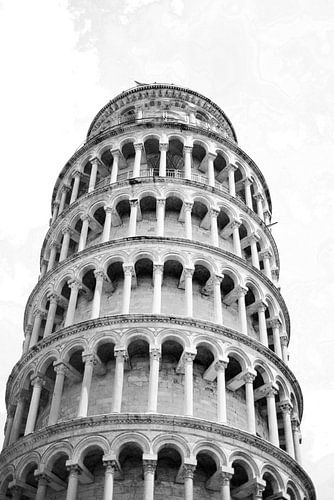 Tower of Pisa in black and white
