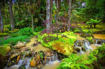 Terra Nostra Gärten