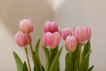Tulipes roses hollandaises sur Joke van Veen