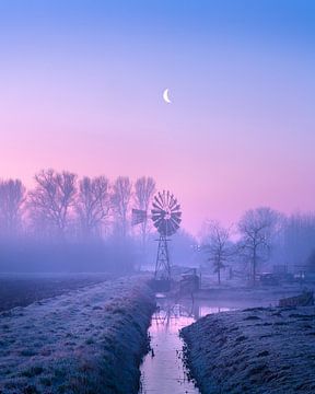 Couleurs douces du matin sur Arda Acar