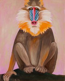 Mandrill-Thrill by Dorothea Linke