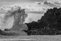 Les majestueuses vagues de l'océan s'écrasent sur les rochers