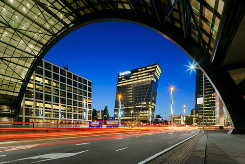 The Swan of The Hague