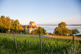 Meersburg and Lake Constance in the evening by Jan Schuler