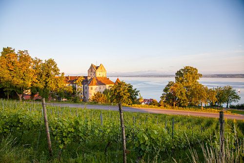 Meersburg und Bodensee am Abend