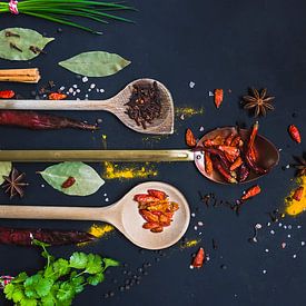 kruiden palet, herbs and spices van Corrine Ponsen