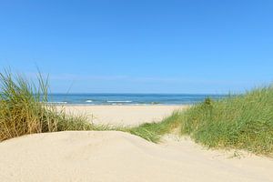 Dünen am Strand mit Strandhafer während eines schönen Sommertages am Nordseestrand