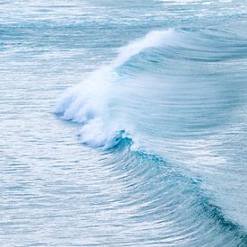 Vague brisée sur Tom de Groot