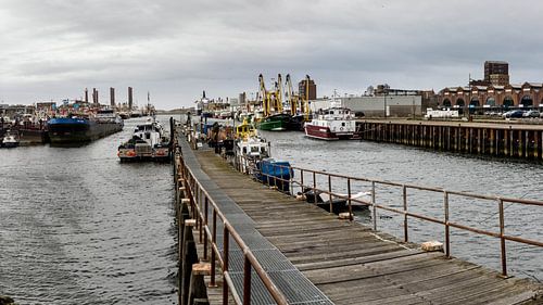 IJmuiden visserijhaven van Jolanda van Straaten