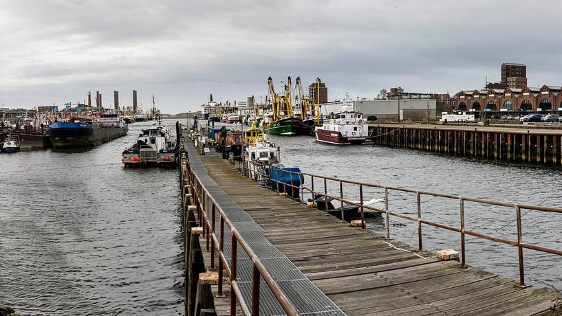 Port de pêche d'IJmuiden par Jolanda van Straaten