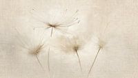 Sereen  en dromerig schilderij van Dandelion
