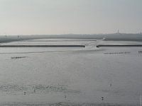 Waddenzee bij Holwerd