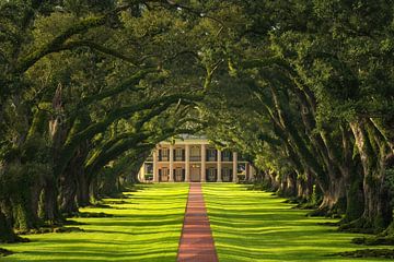 Oak Alley Plantation bei Sonnenaufgang von Martin Podt