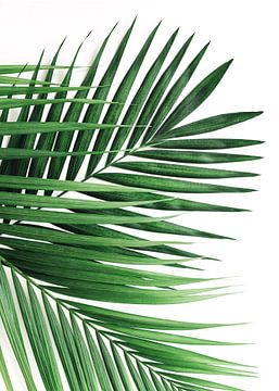 Greens