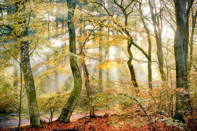 Herfstig van Lars van de Goor
