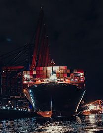 Hamburg Parkhafen, Waltershofer haven
