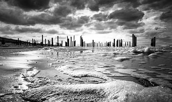 Palendorp en noir et blanc