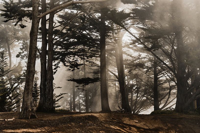 Brouillard de San Francisco par Roos Oosterbroek | hand painted prints en fotografie