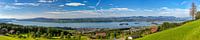 Lake Zurich