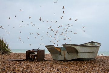 United Kingdom | Brighton by Sandra Wiersema