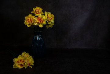a still life with yellow orange daffodils on a dark background by ChrisWillemsen