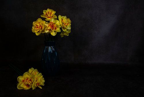 a still life with yellow orange daffodils on a dark background