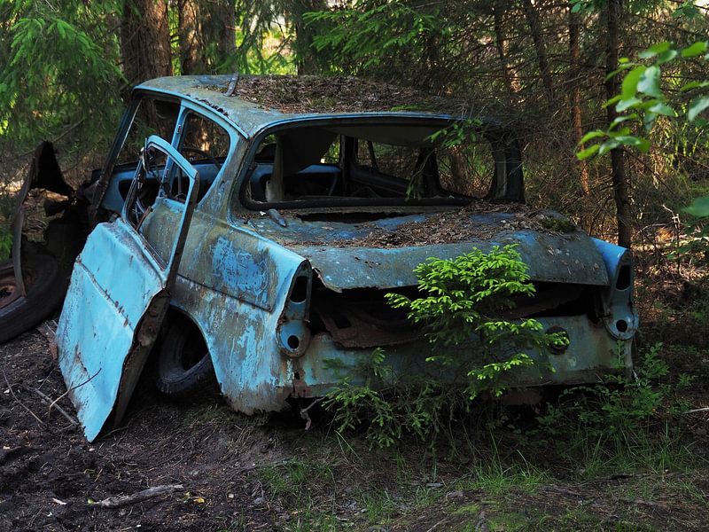 car wreck in the forest in Ryd 1 by Helene Ketzer