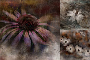 Collage Melancholie mit Sonnenhut