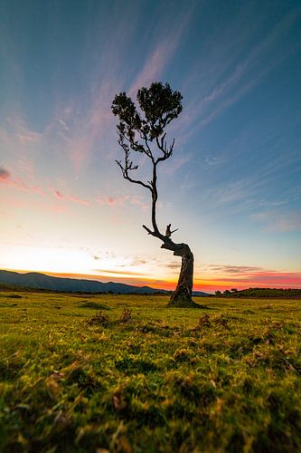 Coucher de soleil solitaire