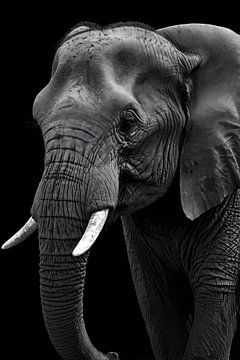 Prachtige zwart-wit foto van olifant van Art & Soul Creations