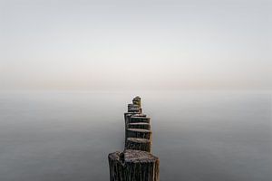 Light on the horizon