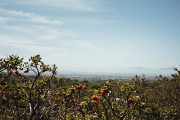 Uitzicht vanaf Kirstenbosch | Reisfotografie | Kaapstad, Zuid-Afrika van Sanne Dost