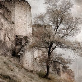 An Old Castle Bathed in Soft Light by BowiScapes - Fine Art and Urban Wall Art
