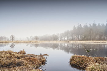 Paysage brumeux