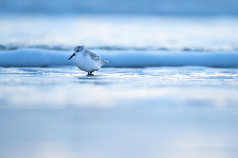 Isolation von Madleen Sophie