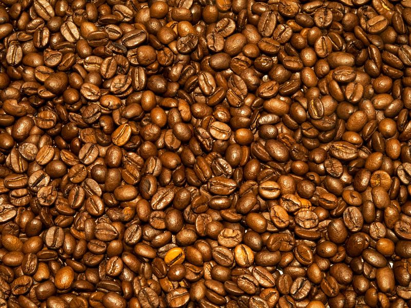 coffee beans as a background von kees luiten