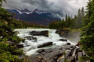 Die Athabasca Wasserfälle in Kanada