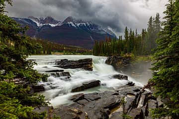 De Athabasca-watervallen in Canada van Roland Brack
