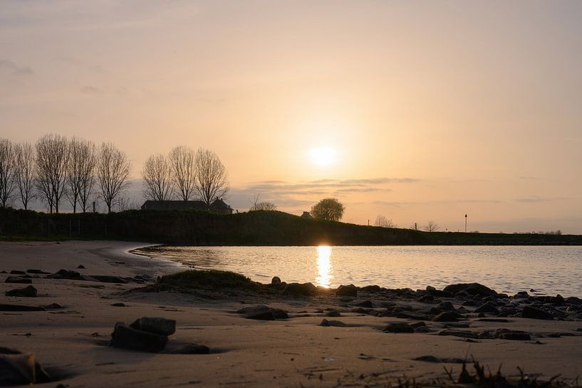 goldener Rhein von Tania Perneel