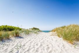 Sightseeing flight over Fischland / Darß by Ursula Reins
