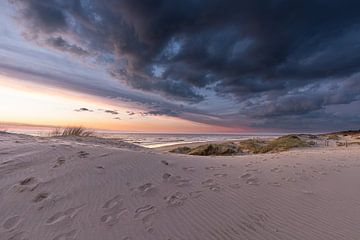 Magnifiques dunes à Camperduin Hondsbosche Zeewering sur René Groeneveld