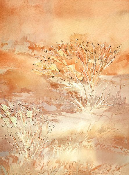 der Morgen naht in Orange von Claudia Gründler