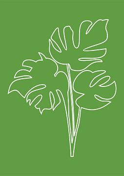 Minimalist Nature & Abstract Illustration Collection