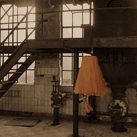 tulle ballet skirt in abandoned factory/ Dance like no one is watching by Tineke Bos