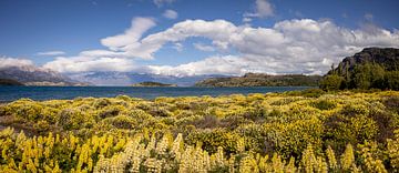 Farben- und Pflanzenpracht in Puerto Rio Tranquilo im Süden Patagoniens, Chile