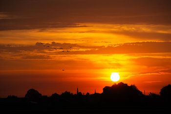 Gänse fliegen in den Sonnenaufgang
